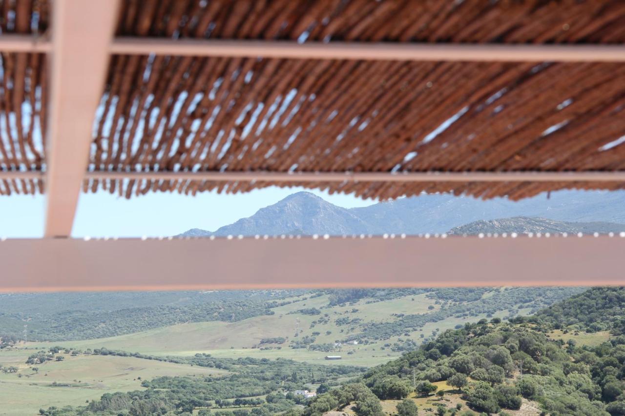 Alcalá de los Gazules Alojamiento Armenia Piscina מראה חיצוני תמונה